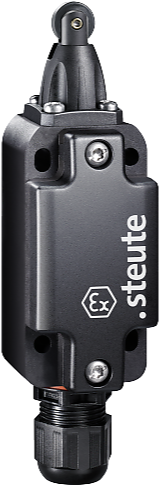 Ex ES 99 R-02 -60°C X | Positieschakelaar, Ex