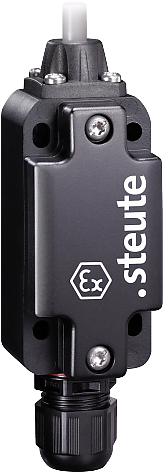 Ex ES 99 S-11 -60°C X | Positieschakelaar, Ex