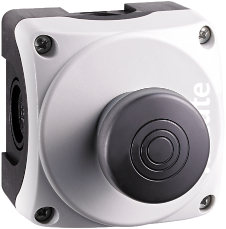 RF BF 74 RS SW SW868-BATT | Draadloze drukknop