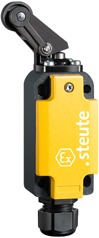 Ex ES 98 PH-11-3G/D | Positieschakelaar, Ex