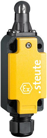 Ex ES 98 R-11U -40°C | Positieschakelaar, Ex