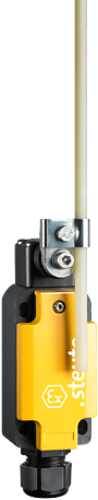 Ex ES 98 DD-11-3G/D | Positieschakelaar, Ex